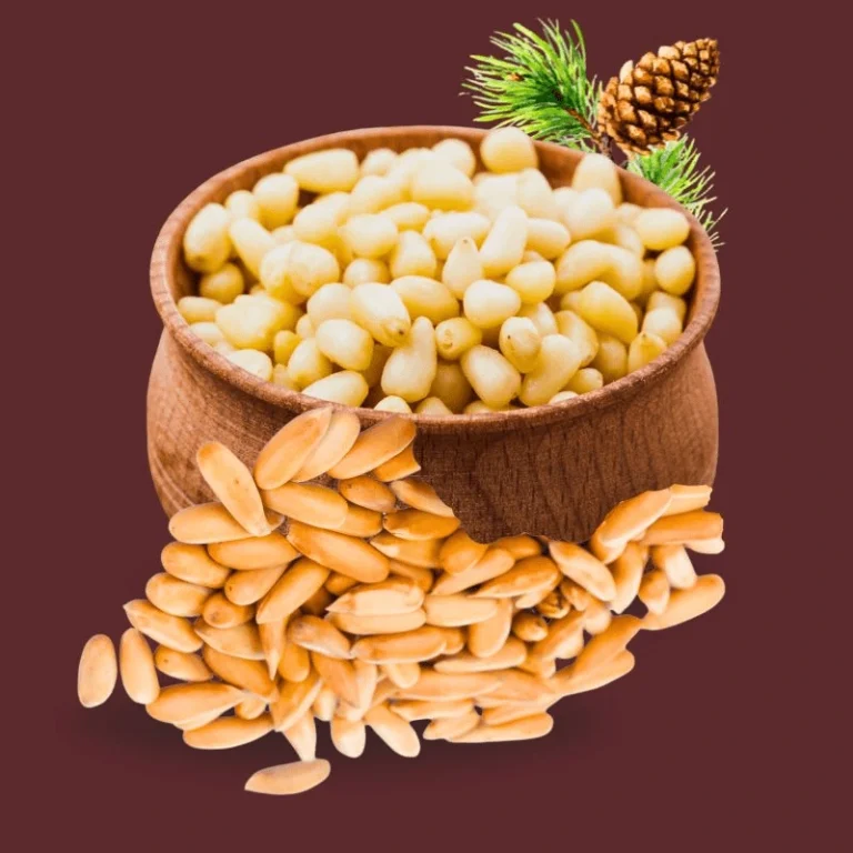 Organic Chitrali Pine Nuts from Chitral - golden, natural chilgoza nuts in a rustic wooden bowl, ethically sourced from Hindu Kush valleys, fair trade and chemical-free.