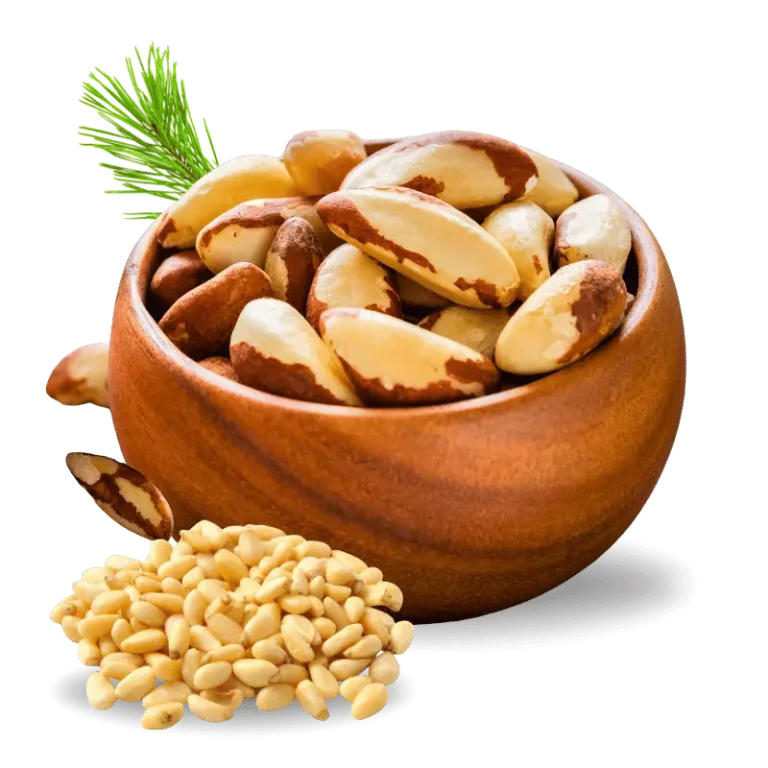Organic Chitrali Pine Nuts from Chitral - golden, natural chilgoza nuts in a rustic wooden bowl, ethically sourced from Hindu Kush valleys, fair trade and chemical-free